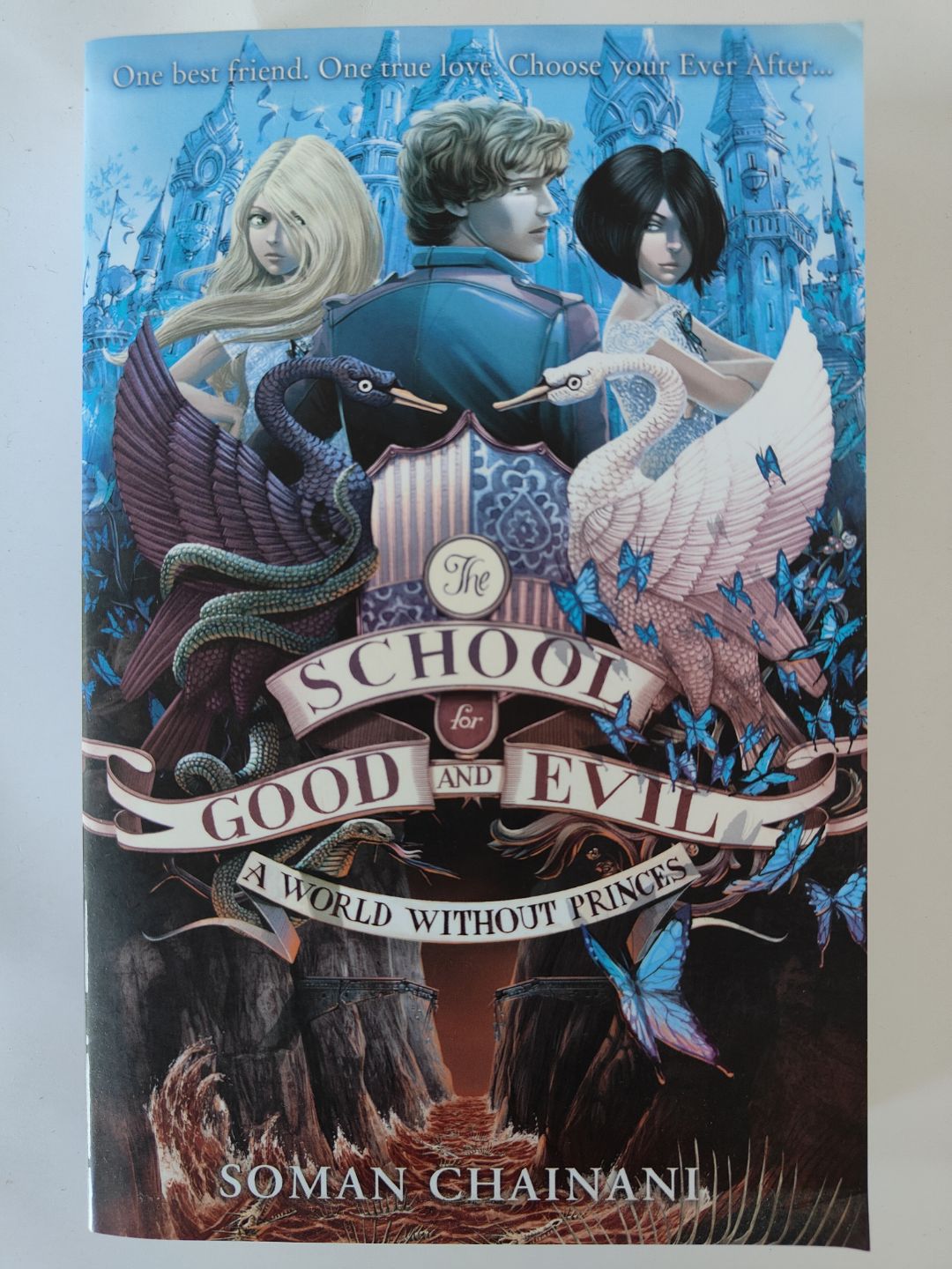 The School for Good and Evil: A World Without a Princess