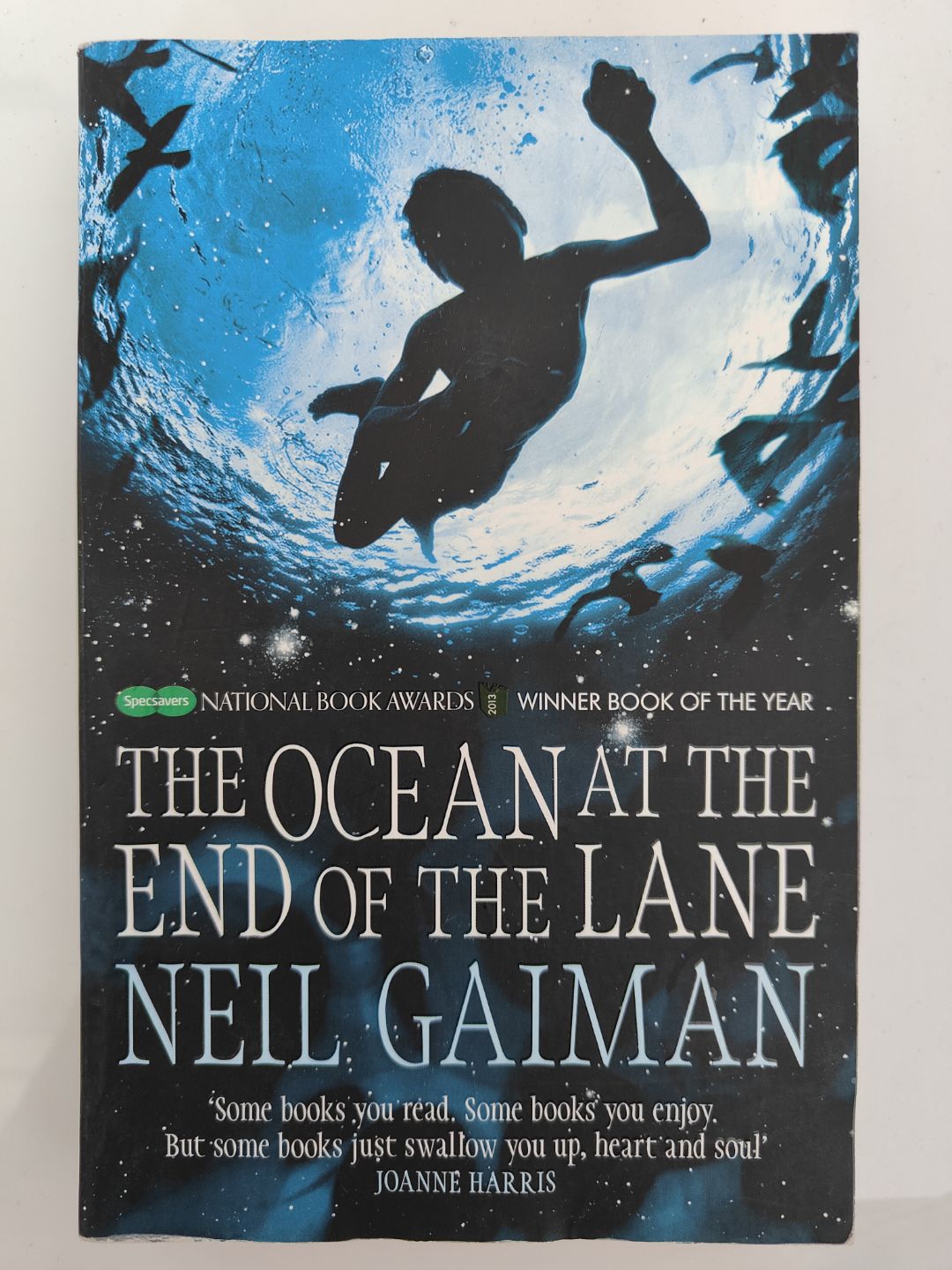The Ocean at the End of the Lane